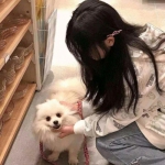 人在江湖2手游